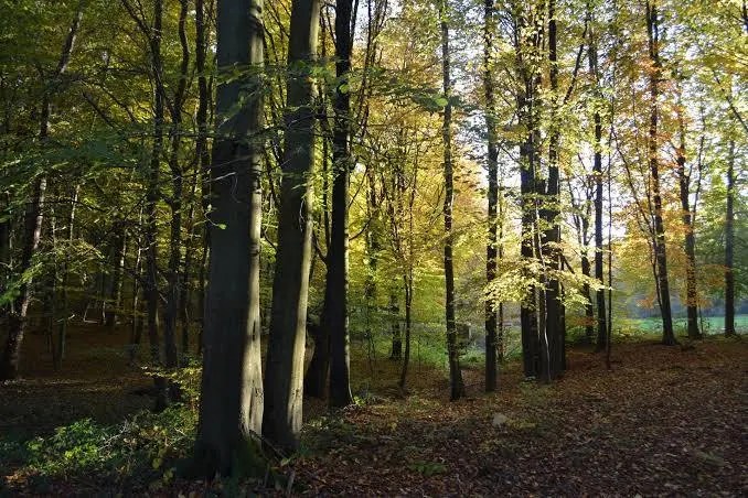 dag 4 Onnoing –&nbsp;Locquignol