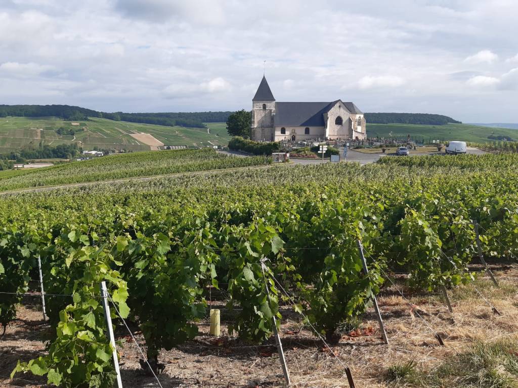 dag 14 Moussy –&nbsp;Congy