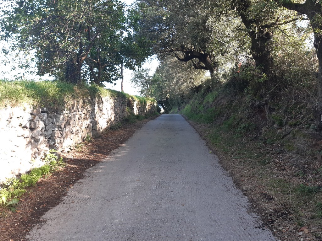 dag 76 Markina –&nbsp;Olabe