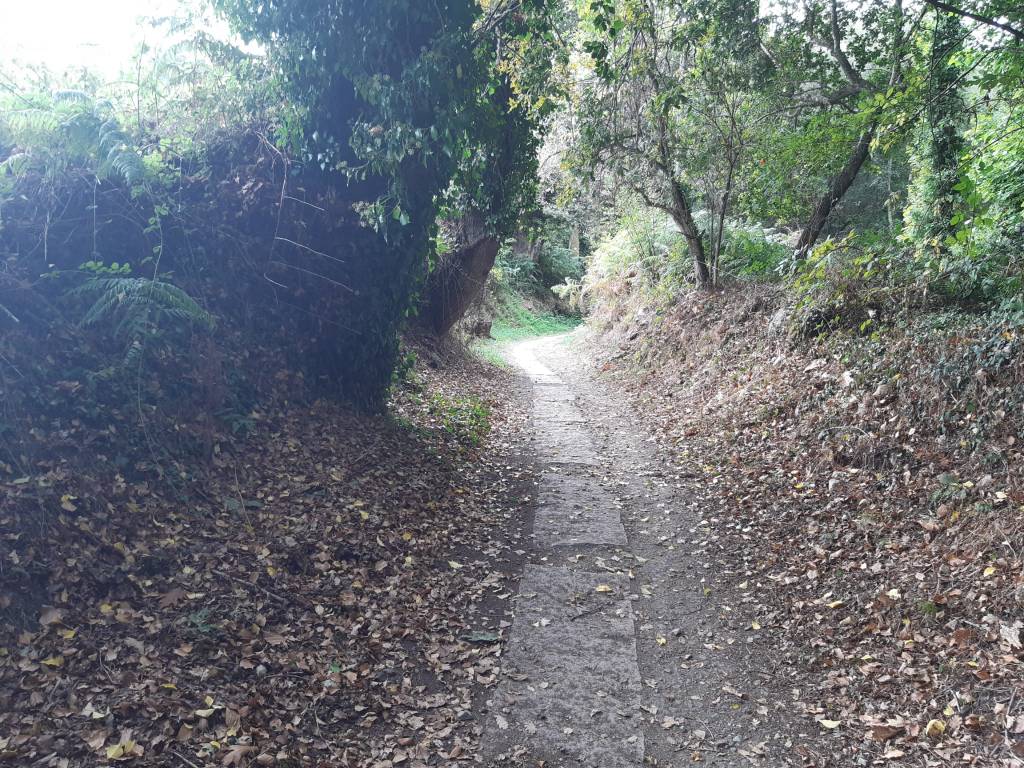 dag 112 Feirrera – Melide